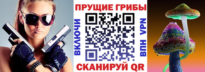 Купить закладки  Мостовской  Галлюциногенные грибы Psilocybe 